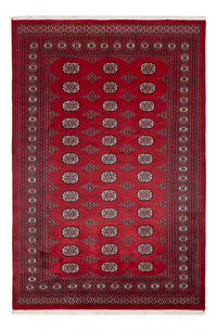 Pakistan Teppich - 249 x 167 cm - rot