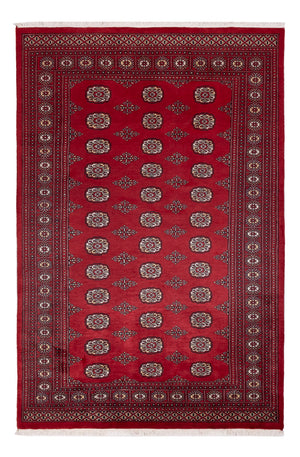Pakistan Teppich - 249 x 167 cm - rot