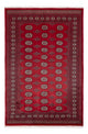 Pakistan Teppich 249x167cm - Orientteppich