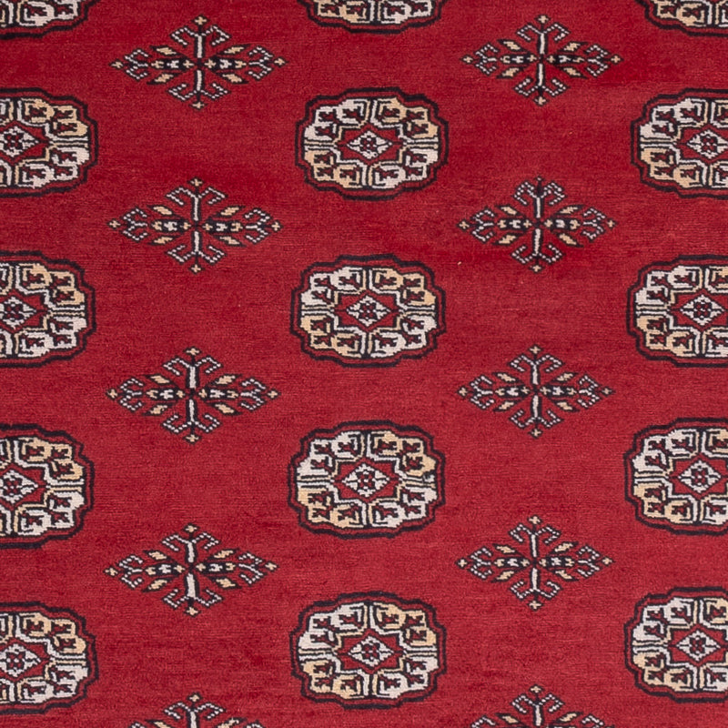 Pakistan Teppich - 249 x 167 cm - rot