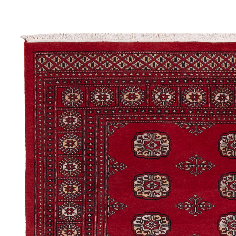Pakistan Teppich - 249 x 167 cm - rot