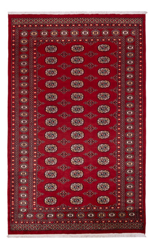 Pakistan Teppich - 266 x 167 cm - rot