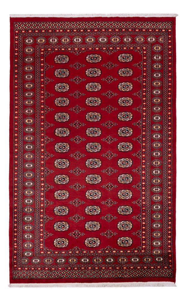 Pakistan Teppich - 266 x 167 cm - rot