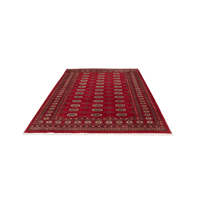 Pakistan Teppich - 266 x 167 cm - rot