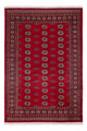 Pakistan Teppich 239x164cm - Orientteppich