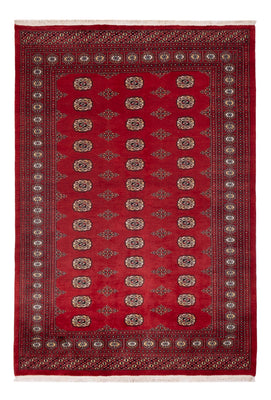 Pakistan Teppich - 235 x 165 cm - rot