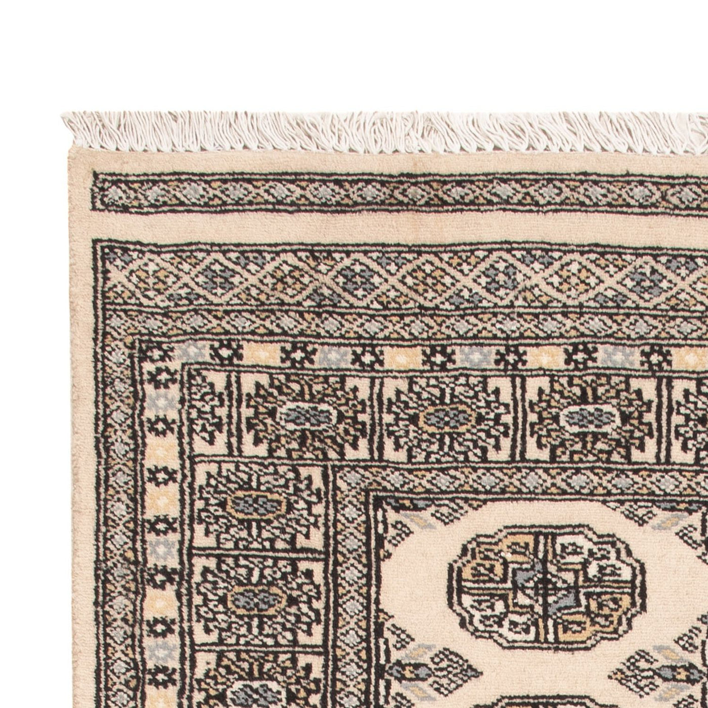 Pakistan Teppich 159x93cm - Orientteppich
