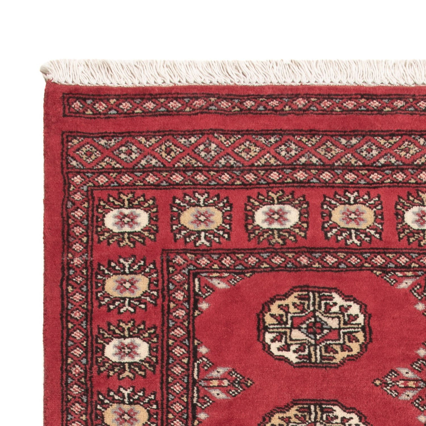 Pakistan Teppich 156x92cm - Orientteppich