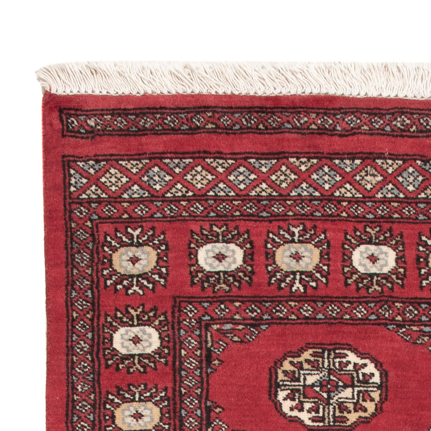 Pakistan Teppich 154x95cm - Orientteppich