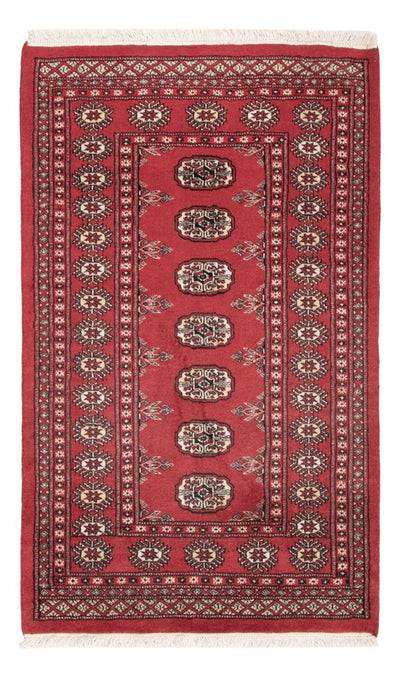 Pakistan Teppich 90x150cm - Orientteppich