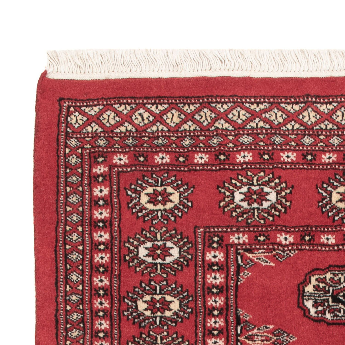 Pakistan Teppich 150x90cm - Orientteppich