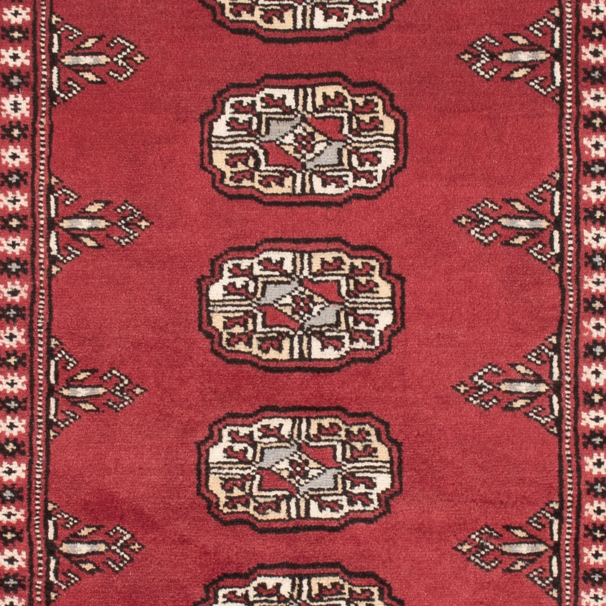 Pakistan Teppich - 159 x 92 cm - rot
