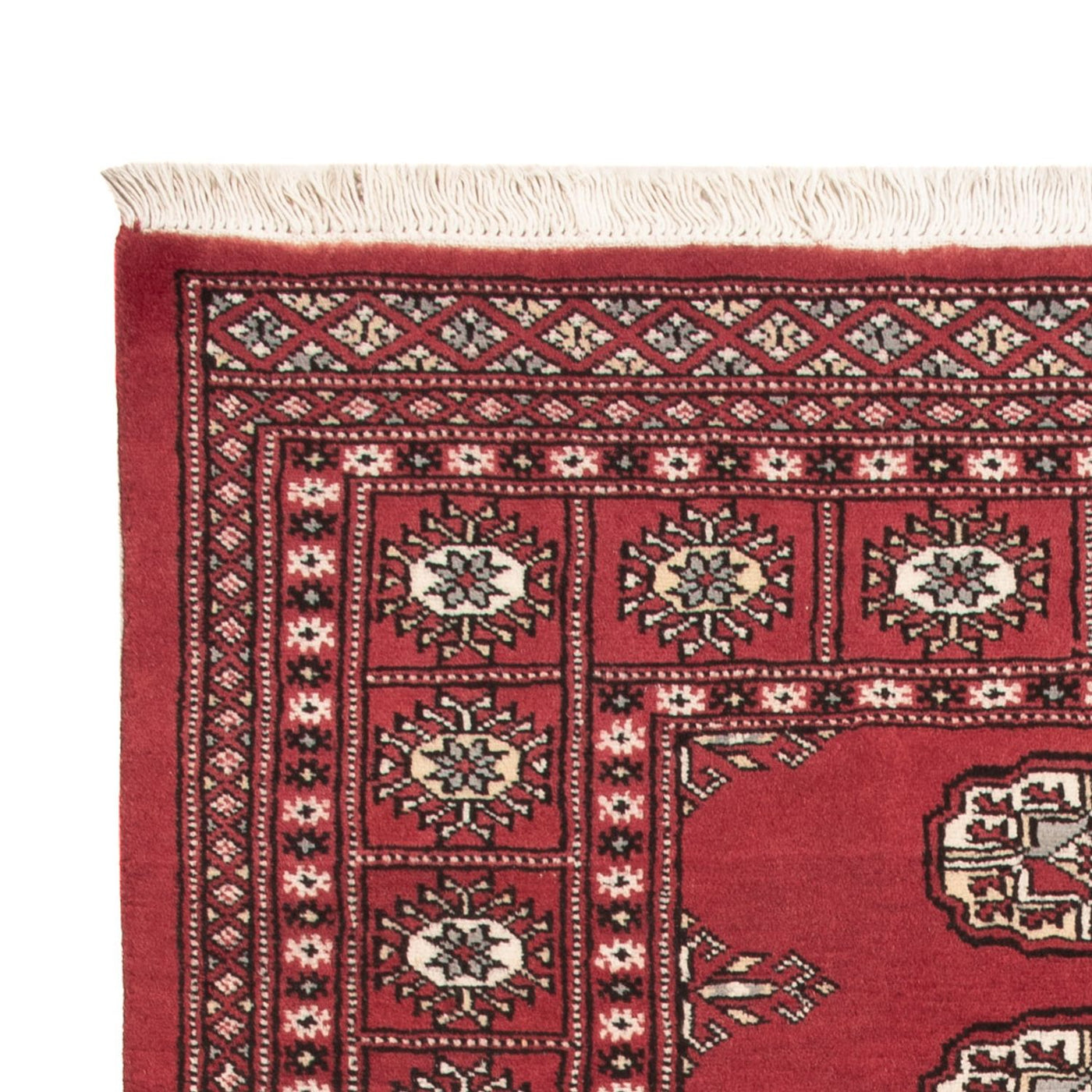 Pakistan Teppich 159x92cm - Orientteppich