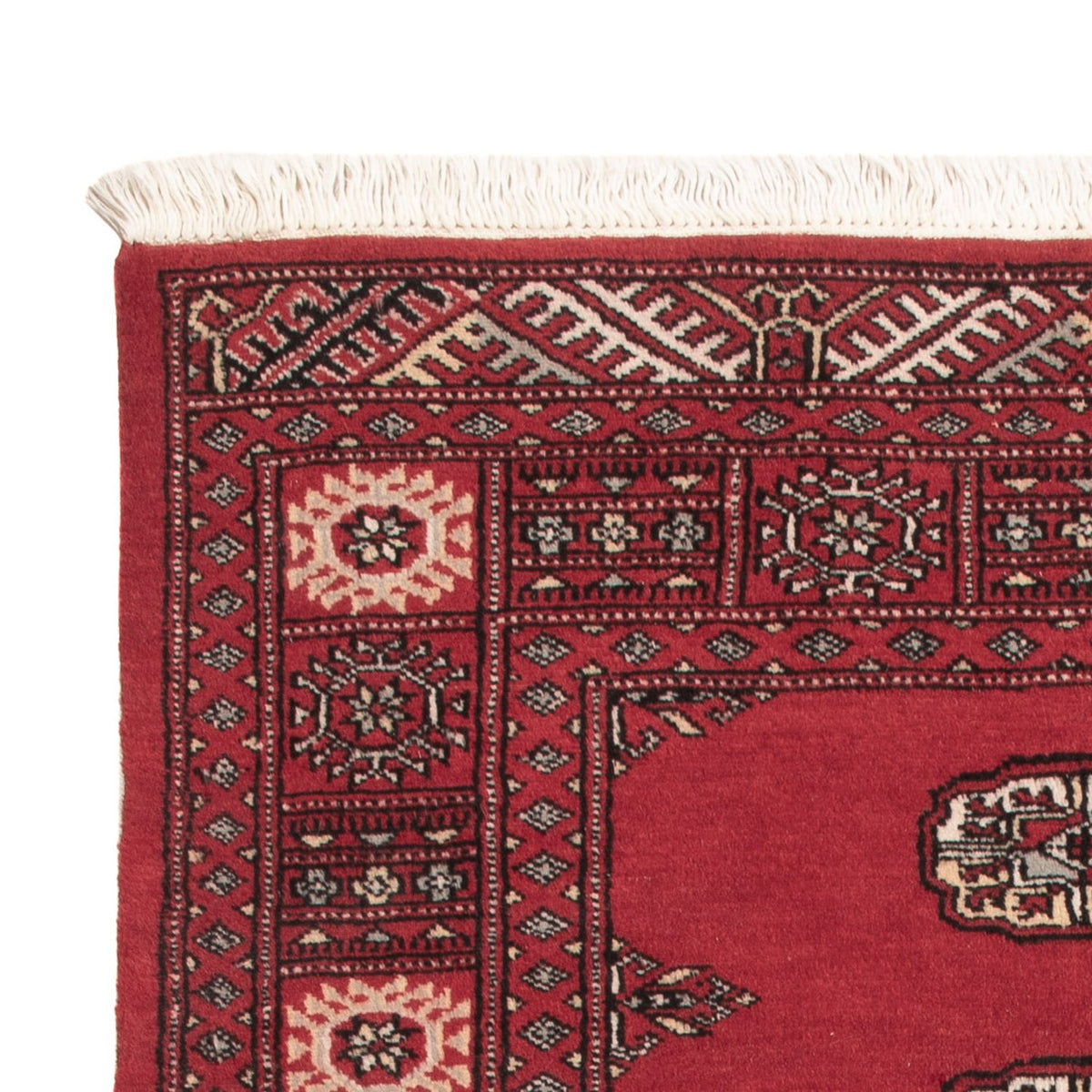Pakistan Teppich - 151 x 92 cm - rot