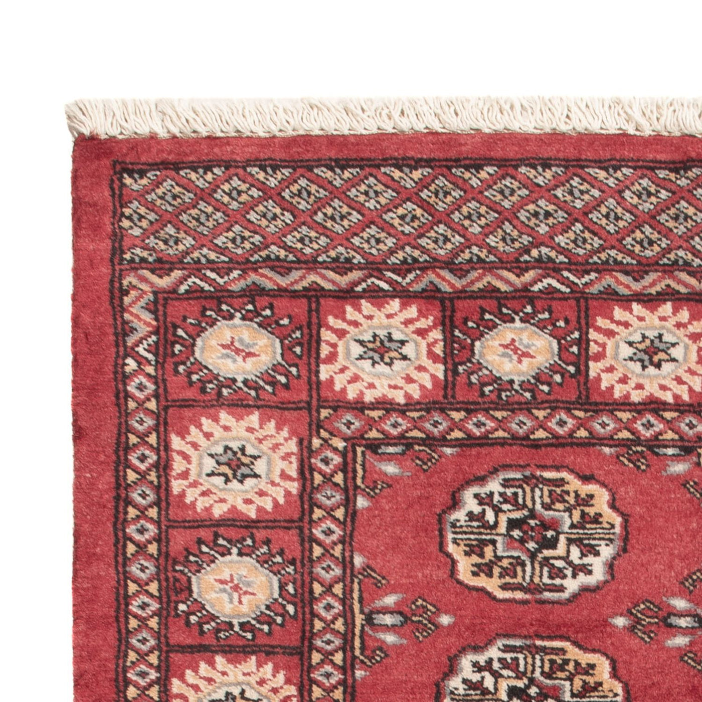 Pakistan Teppich 147x96cm - Orientteppich