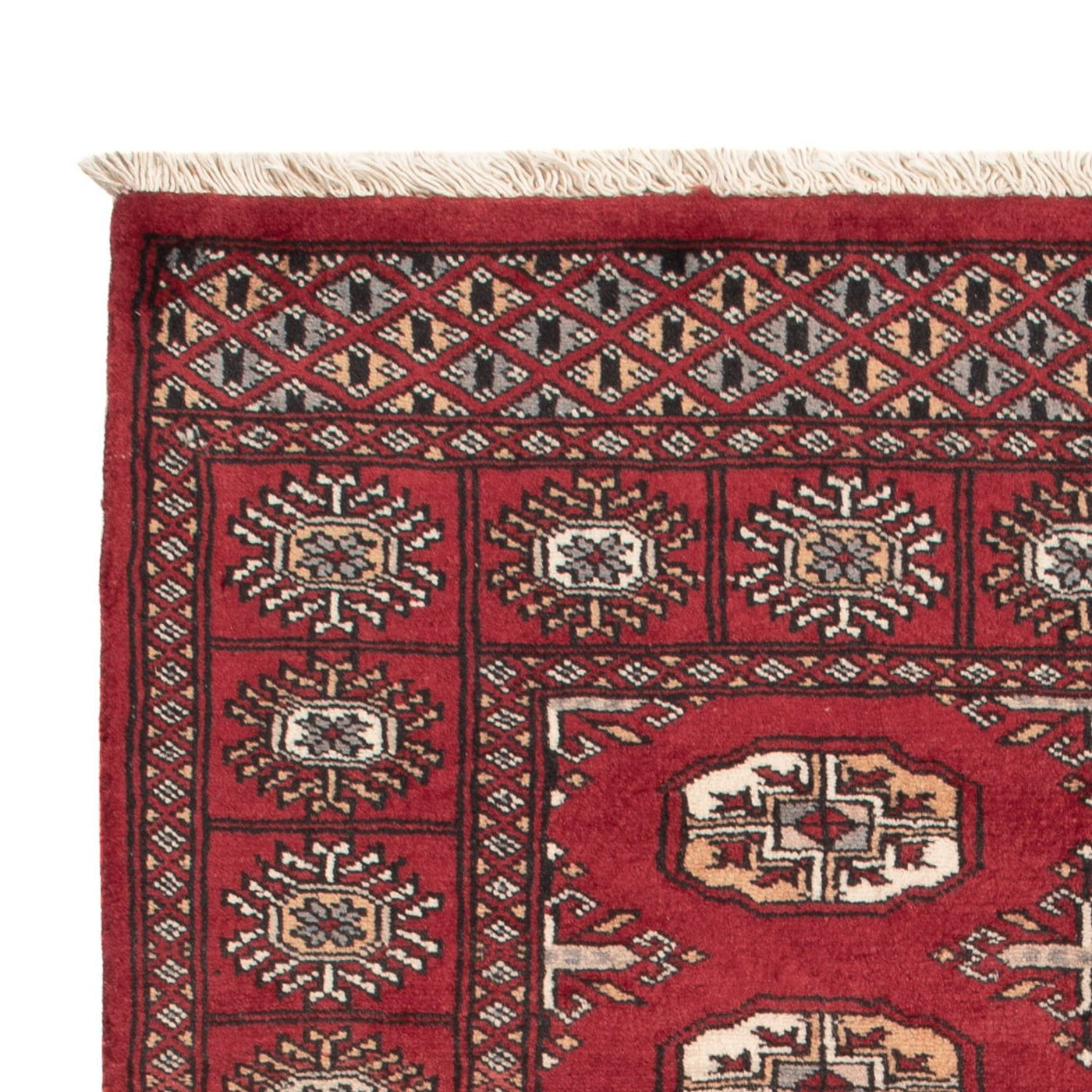 Pakistan Teppich 144x91cm - Orientteppich