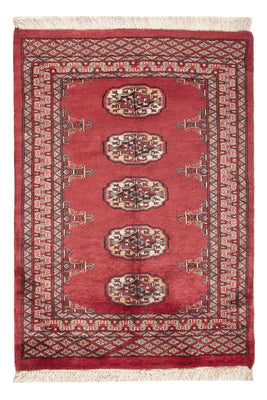 Pakistan Teppich - 114 x 79 cm - rot
