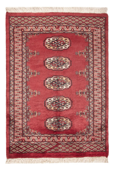Pakistan Teppich 79x114cm - Orientteppich