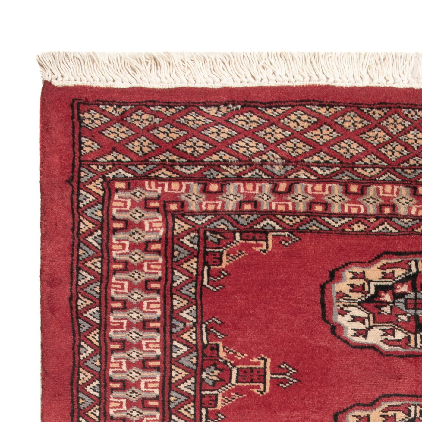 Pakistan Teppich 117x80cm - Orientteppich