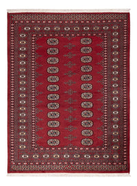 Pakistan Teppich - 179 x 137 cm - rot