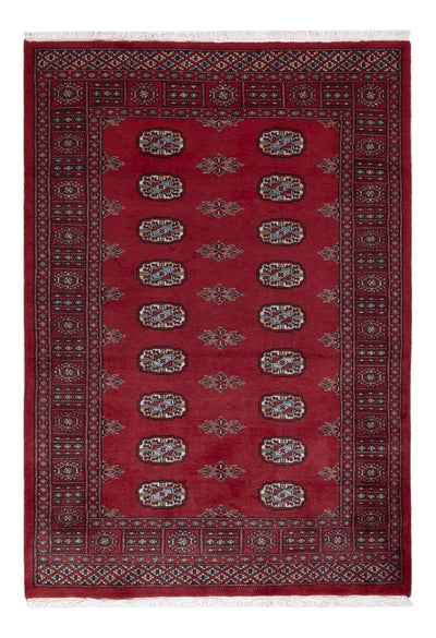 Pakistan Teppich 122x178cm - Orientteppich