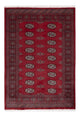 Pakistan Teppich 178x122cm - Orientteppich