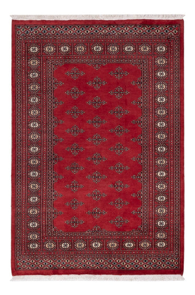 Pakistan Teppich 124x183cm - Orientteppich