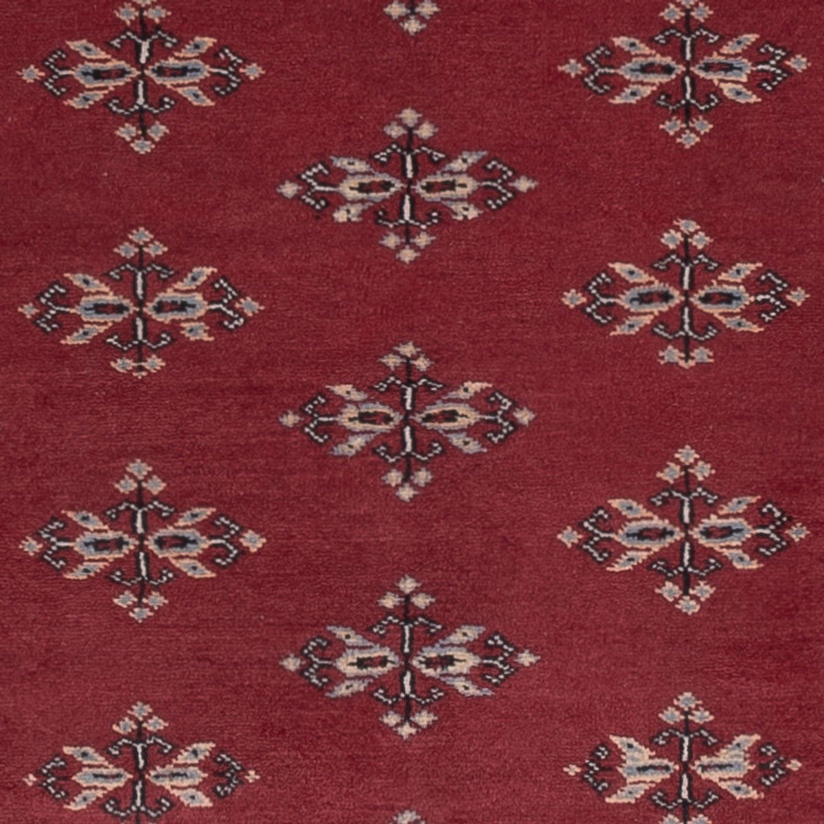 Pakistan Teppich - 174 x 126 cm - rot