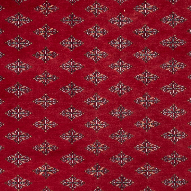 Afghan Teppich - Buchara - 350 x 253 cm - rot