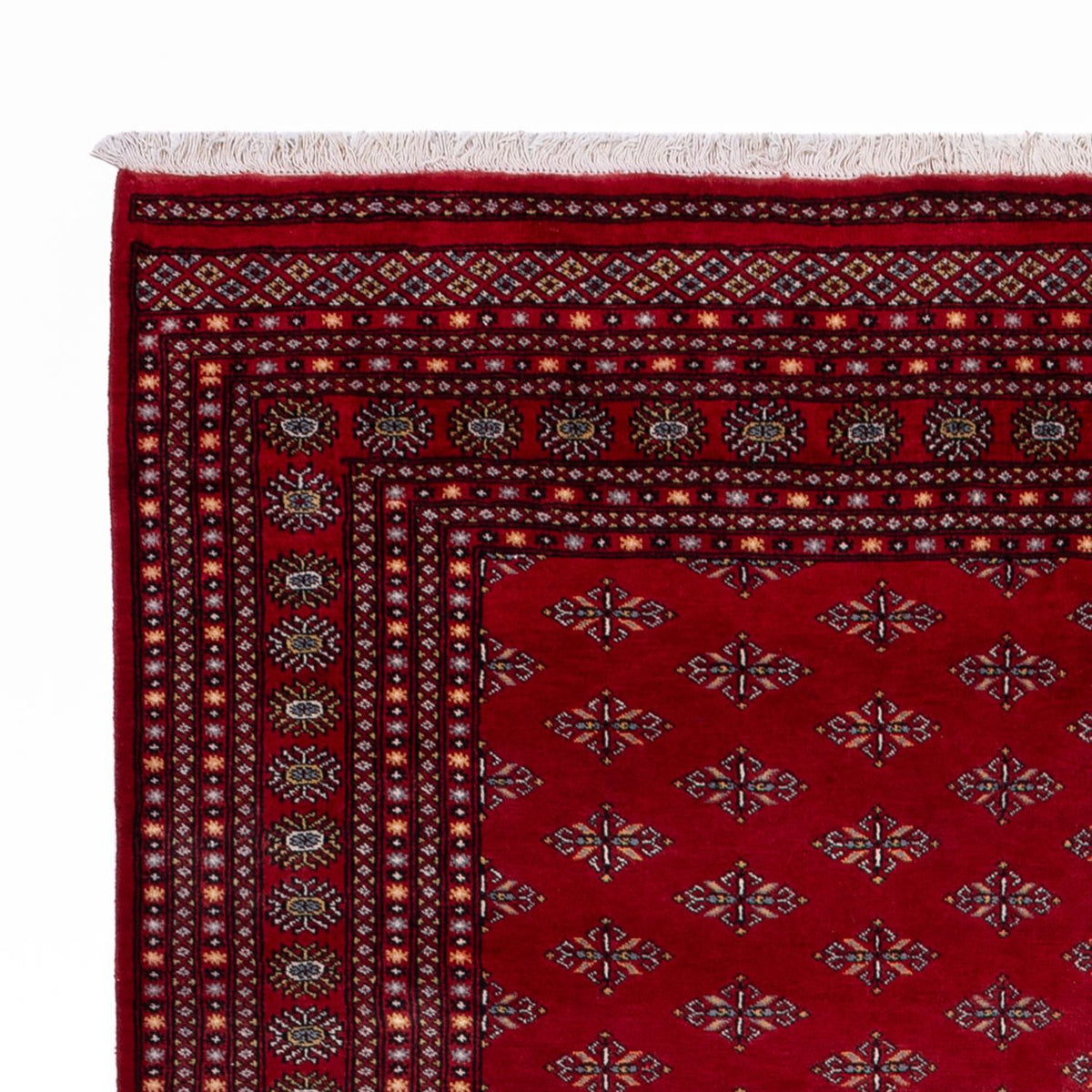Afghan Teppich - Buchara - 350 x 253 cm - rot