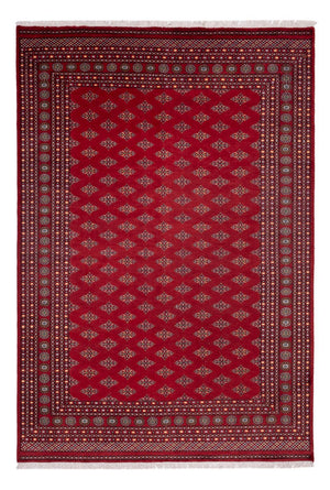 Afghan Teppich - Buchara - 365 x 249 cm - rot