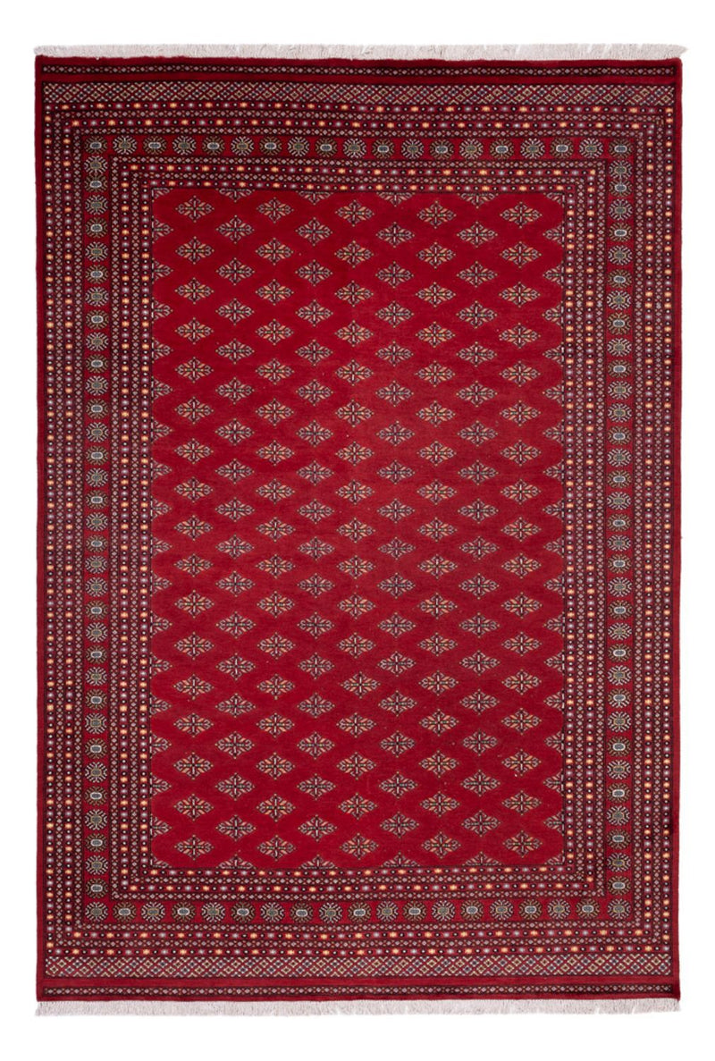 Afghan Teppich - Buchara - 365 x 249 cm - rot