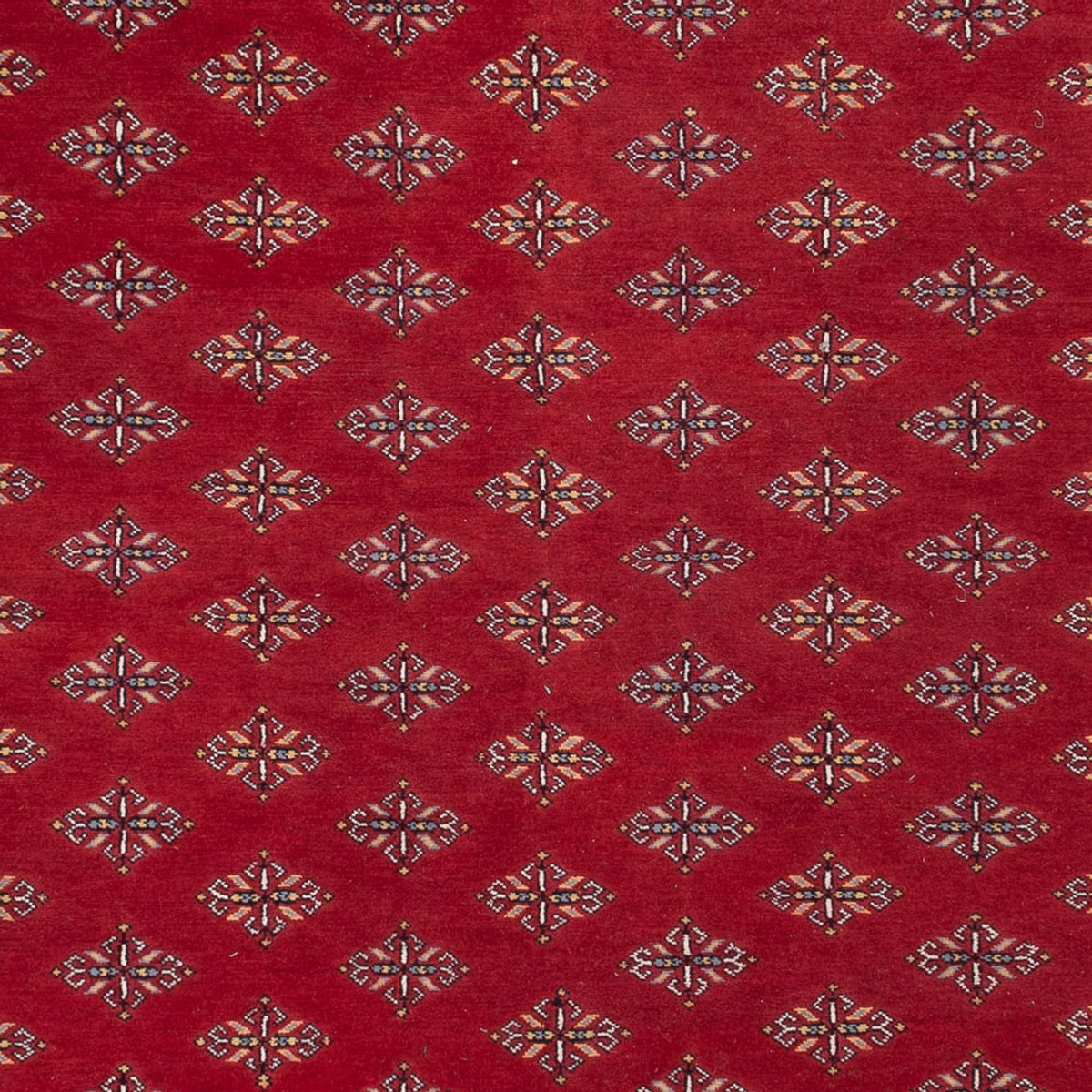 Afghan Teppich - Buchara - 365 x 249 cm - rot