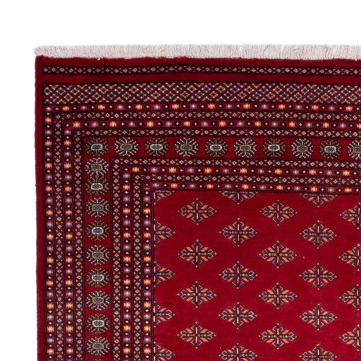 Afghan Teppich - Buchara - 365 x 249 cm - rot