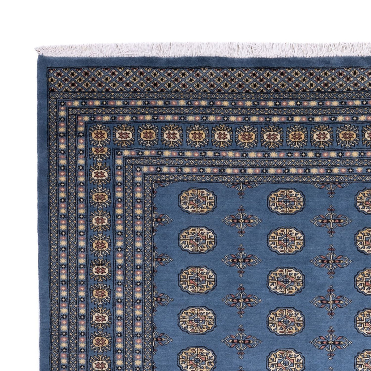 Afghan Teppich - Buchara - 344 x 248 cm - blau
