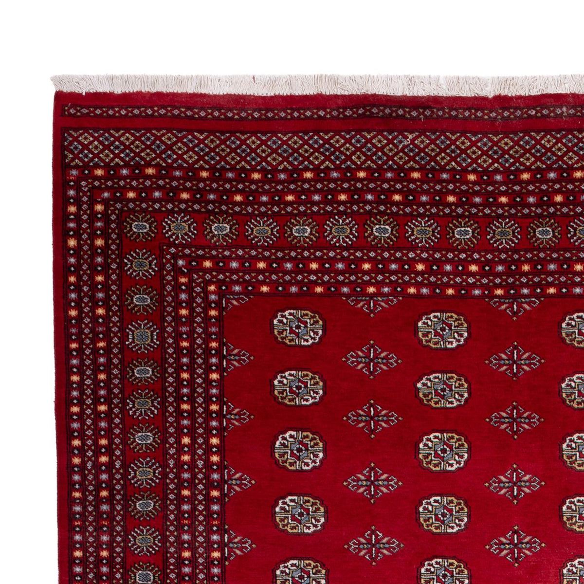 Afghan Teppich - Buchara - 380 x 277 cm - rot