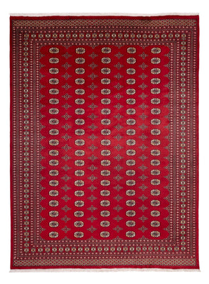 Afghan Teppich - Buchara - 369 x 275 cm - rot