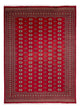 Buchara Teppich 369x275cm - Orientteppich