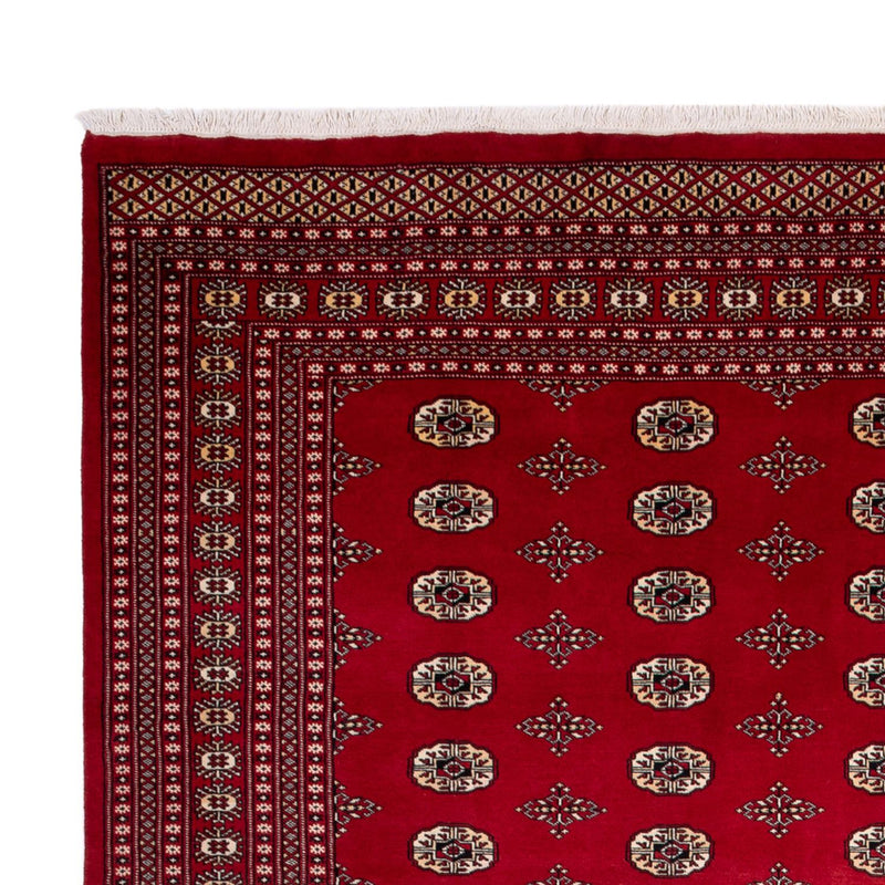 Afghan Teppich - Buchara - 369 x 275 cm - rot