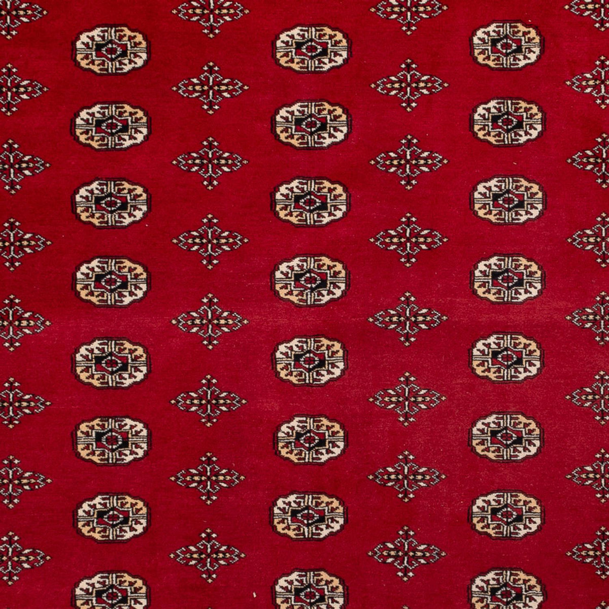 Afghan Teppich - Buchara - 387 x 276 cm - rot