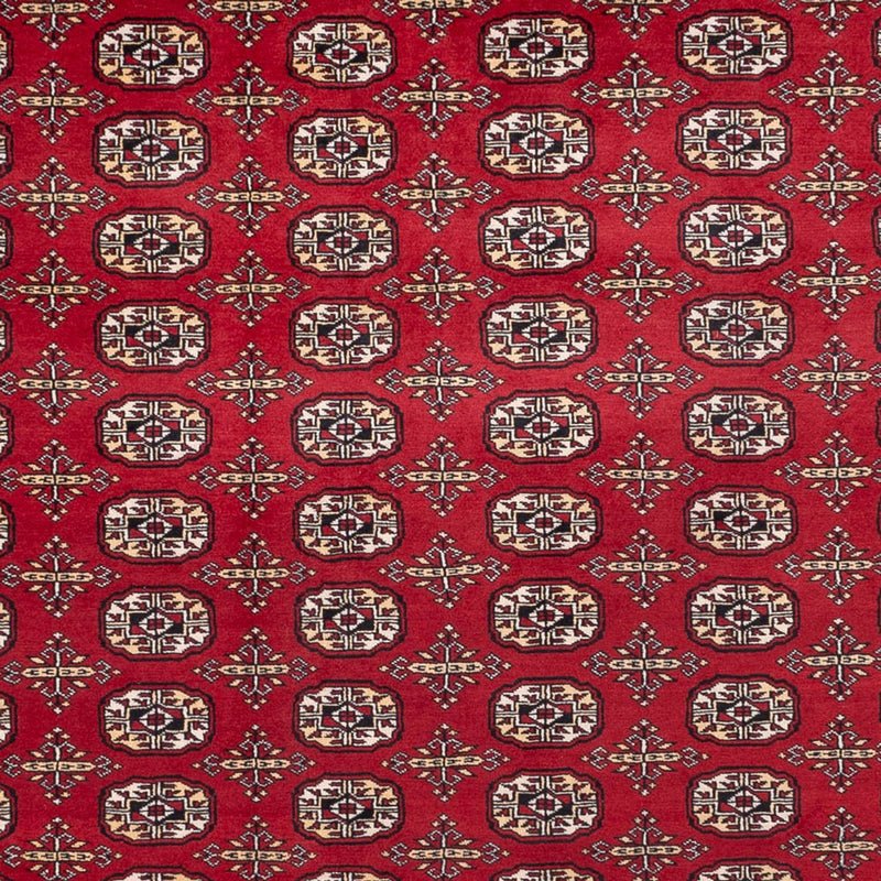 Afghan Teppich - Buchara - 346 x 241 cm - rot