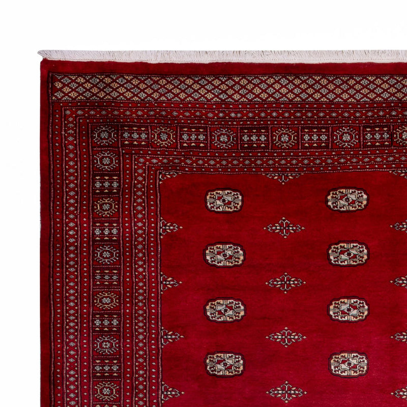 Afghan Teppich - Buchara - 364 x 283 cm - rot