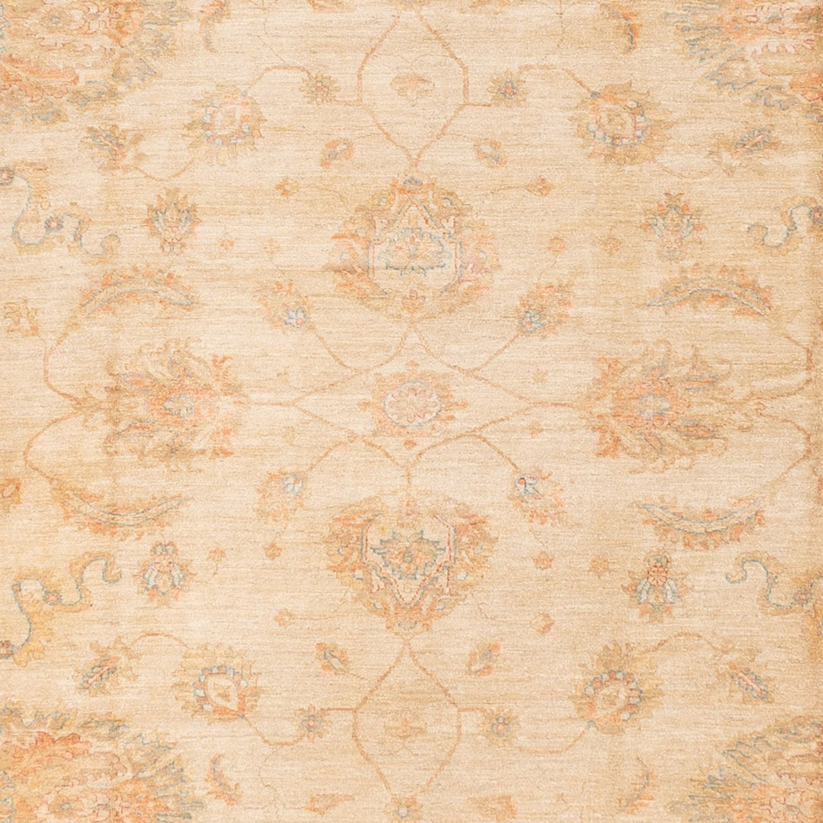 Ziegler Teppich - 585 x 396 cm - beige