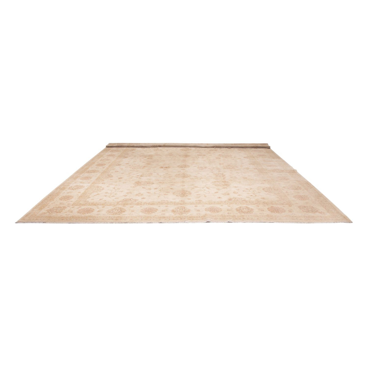 Ziegler Teppich - 592 x 403 cm - beige