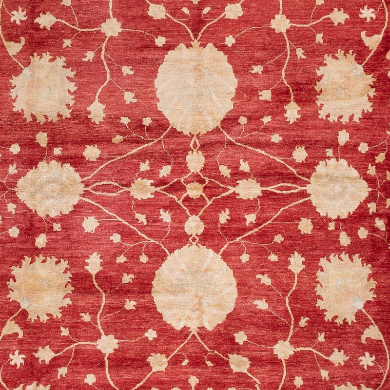 Ziegler Teppich - 521 x 400 cm - beige