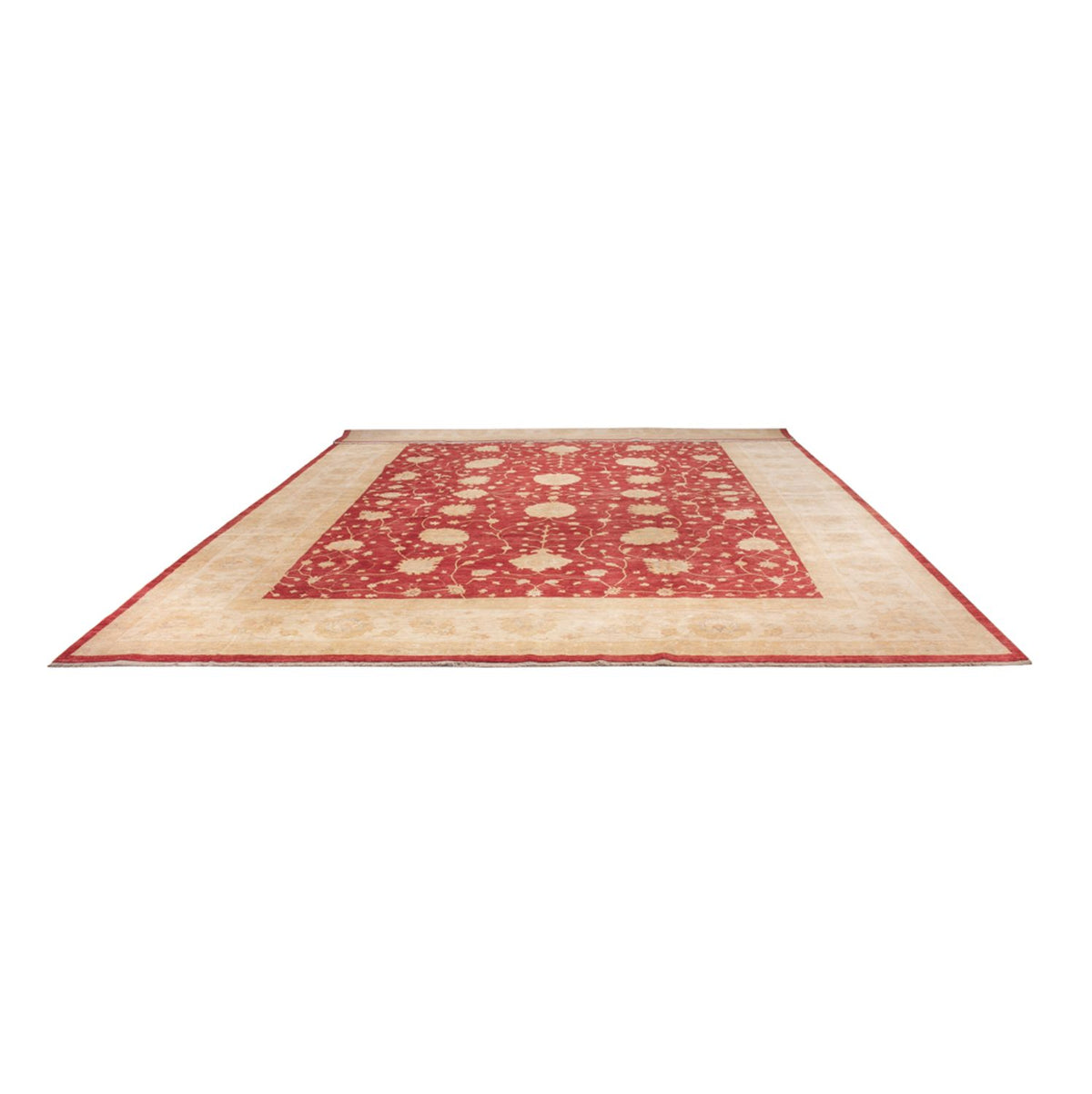 Ziegler Teppich - 521 x 400 cm - beige