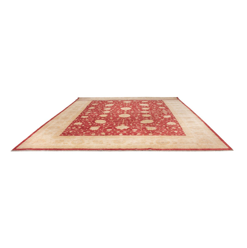 Ziegler Teppich - 521 x 400 cm - beige