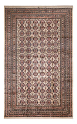 Afghan Teppich - 492 x 303 cm - dunkelbeige