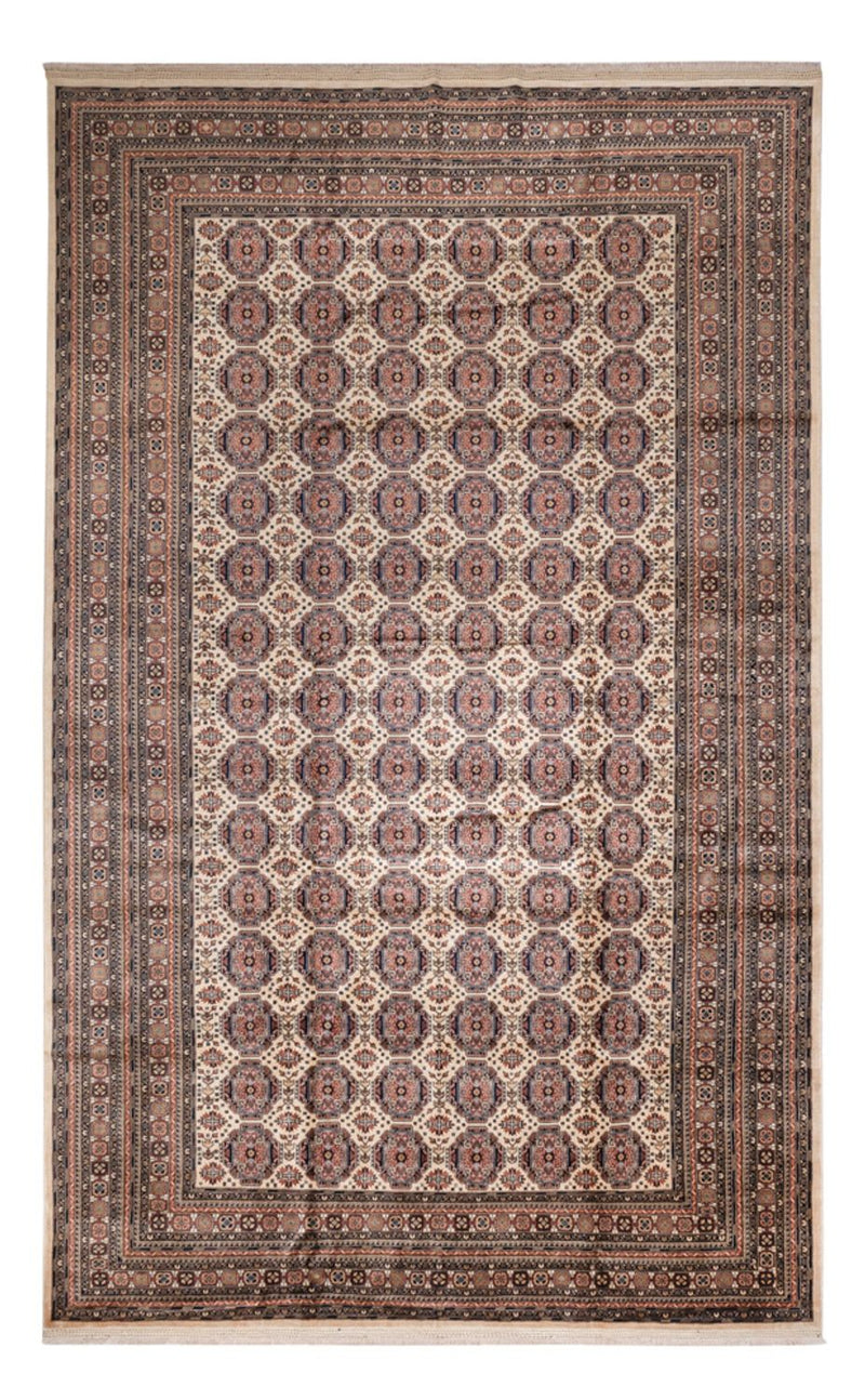 Afghan Teppich - 492 x 303 cm - dunkelbeige
