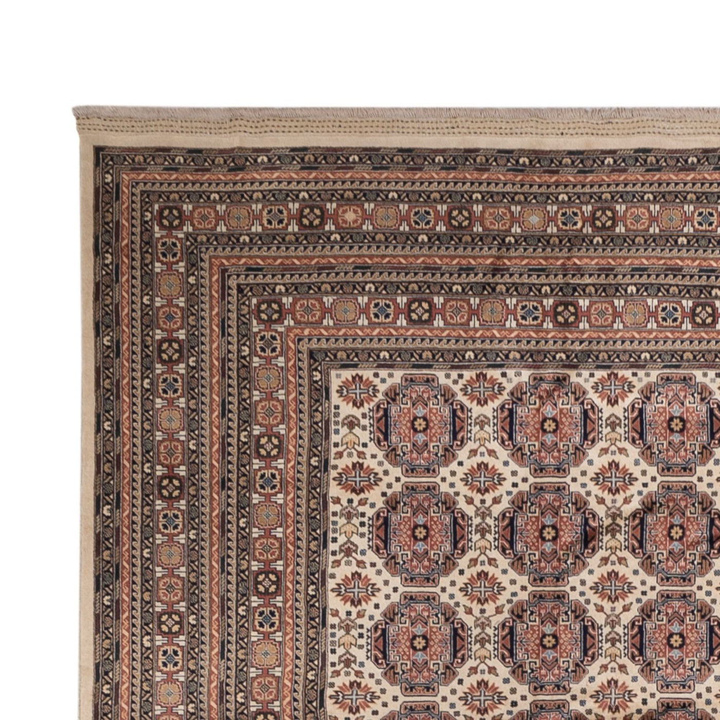 Afghan Teppich 492x303cm - Orientteppich